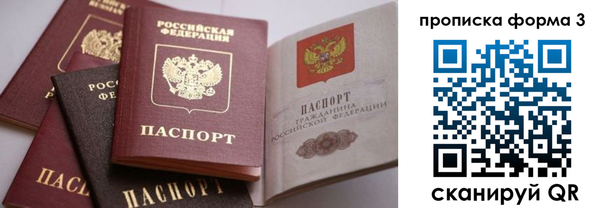 прописка для школы в Шадринске